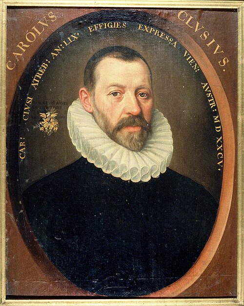 Carolus Clusius